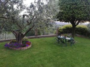 Zahrada ubytování La Casa Tra Gli Ulivi