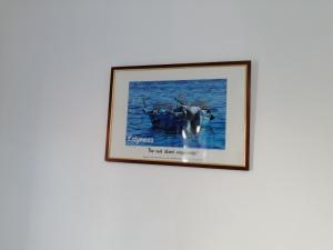 Fotografie z fotogalerie ubytování Petroula Apartments II v destinaci Emborios