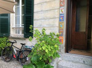 Jízda na kole v ubytování B&B Villa le Ortensie nebo okolí