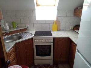 Apartmán Podskalská Blatná的厨房或小厨房