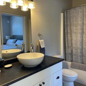 a bathroom with a large white bowl sink on a counter at Port Renfrew Oceanfront Retreat in Port Renfrew
