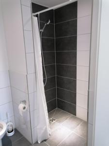 Vonios kambarys apgyvendinimo įstaigoje Ferienwohnung mit See Blick