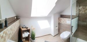 a bathroom with a shower and a toilet at Sonnenufer Apartment & Moselwein I in Bernkastel-Kues