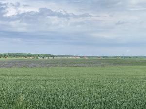 Galeriebild der Unterkunft Windland-Arkonablick in Dranske