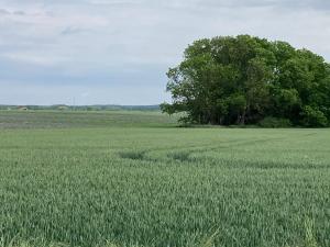 Galeriebild der Unterkunft Windland-Arkonablick in Dranske