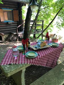 een picknicktafel met borden eten erop bij B&B Le Corone - Chalet nel Bosco in Cavalo
