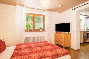 a bedroom with a bed and a flat screen tv at Haus Sonnenschein Gartentraum in Bermatingen