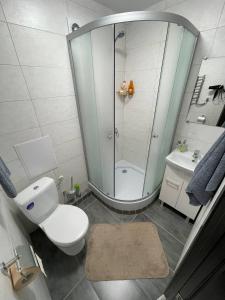 uma casa de banho com um chuveiro, um WC e um lavatório. em Люкс в центре Гагарина 72 Автовокзал em Krivoy Rog