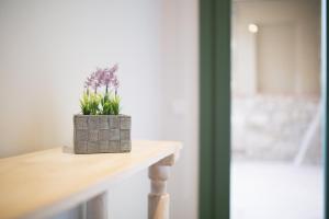 Postel nebo postele na pokoji v ubytování Apartaments Catedral – Baltack Homes