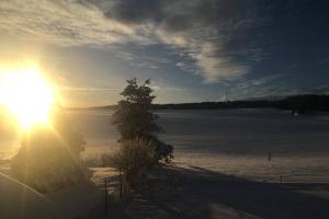 a tree in the snow with the sun in the sky at Appartement - Au Creux-de-Chat, (Les Reussilles), Apartment - Au Creux-de-Chat (Les Reussilles), 1-2 people, 2 rooms in La Chaux