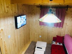a room with a tv and a couch and a lamp at Etno domacinstvo Stankovic apartman br 2 in Gornji Milanovac