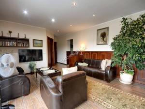 a living room with leather furniture and a large plant at Willa Anna in Gdynia