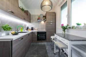 Kuchyň nebo kuchyňský kout v ubytování Apartman Leda