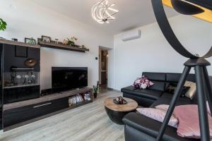 TV a/nebo společenská místnost v ubytování Apartman Leda