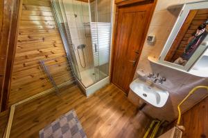 a bathroom with a sink and a shower at Domek Retro Karłów - Brda in Kudowa-Zdrój