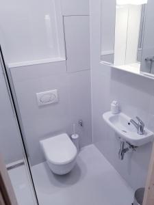 a white bathroom with a toilet and a sink at Brno apartment in Brno