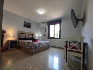 1 dormitorio con cama, escritorio y silla en Villa Patricia, en Málaga
