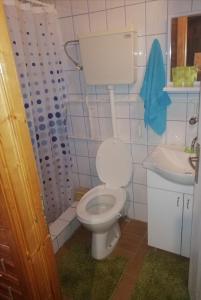 Koupelna v ubytování Brvnara Ljubičica