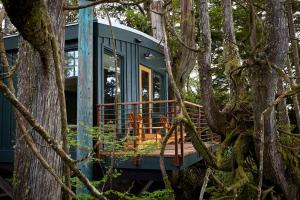 a tree house with a deck in the woods at Middle Beach Lodge in Tofino