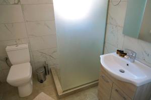 a bathroom with a toilet and a sink at Charikleia's 1st floor appartment in Pelion in Volos