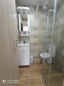 a bathroom with a toilet and a sink and a shower at Studio Dunja in Soko Banja