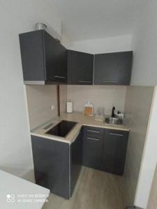a small kitchen with black cabinets and a sink at Studio Dunja in Soko Banja