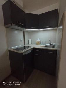 a small kitchen with black cabinets and a sink at Studio Dunja in Soko Banja +4 photos