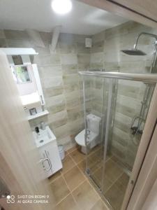 a bathroom with a glass shower and a toilet at Studio Dunja in Soko Banja