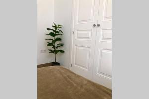 Fotografie z fotogalerie ubytování GATU PREMIUM Villa Libertad v destinaci Cádiz