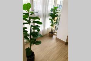 Fotografie z fotogalerie ubytování GATU PREMIUM Villa Libertad v destinaci Cádiz