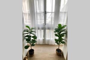 Fotografie z fotogalerie ubytování GATU PREMIUM Villa Libertad v destinaci Cádiz