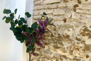 Fotografie z fotogalerie ubytování GATU PREMIUM Villa Libertad v destinaci Cádiz
