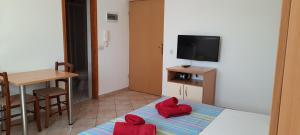 Televízia a/alebo spoločenská miestnosť v ubytovaní Apartments Dada