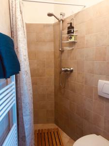 bagno con doccia e servizi igienici di Musa di Colle a Colle Val D'Elsa