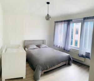 a bedroom with a bed and two windows at Cosy house in the heart of the center! in Oostburg