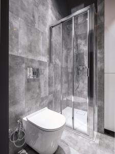 a bathroom with a toilet and a glass shower at Luxo apartments 13 in Jelenia Góra