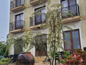 een hoog gebouw met planten ervoor bij Vila Caviar in Sulina