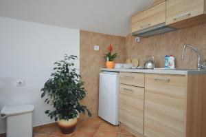 Kuchyň nebo kuchyňský kout v ubytování TILIA Apartments + 45 fotografií