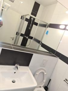 a bathroom with a sink and a toilet and a mirror at Hotel hostel Zafir in Berlin
