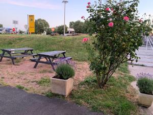 two picnic tables and a bush with pink roses at Hotel Macon la Salle in Mâcon