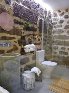 Baño de piedra con aseo y lavamanos en Casa do Doutor Palheiro en Travassos