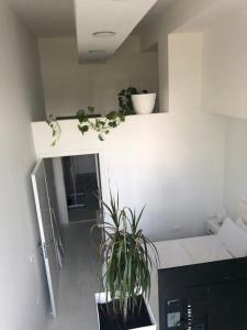 a living room with plants on the wall at INDUSTRIAL STUDIO 1 in Ljubljana +2 photos