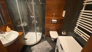 uma casa de banho com um chuveiro, um lavatório e um WC. em Apartament nad jeziorem Drwęckim z dużym tarasem em Ostróda