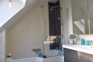 a bathroom with a shower and a sink at Chambres d’Hôtes Les Rougemonts in Champguyon