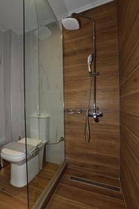 a bathroom with a shower with a toilet and a glass door at Gonis Grand Luxury Suite in Palaiochora
