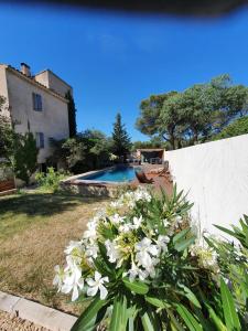 einen Garten mit weißen Blumen und einem Pool in der Unterkunft La cigale et la fourmi in Nîmes
