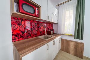 a kitchen with a sink and a tv on a wall at Villa Mikołajki Popiełuszki 8 in Mikołajki