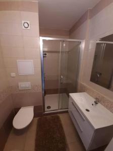 Kúpeľňa v ubytovaní Apartmán Hanka