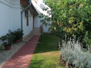A garden outside Tamás Bátya Kunyhója