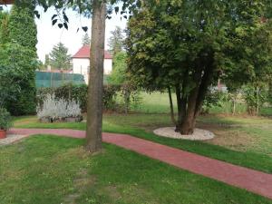 A garden outside Tamás Bátya Kunyhója